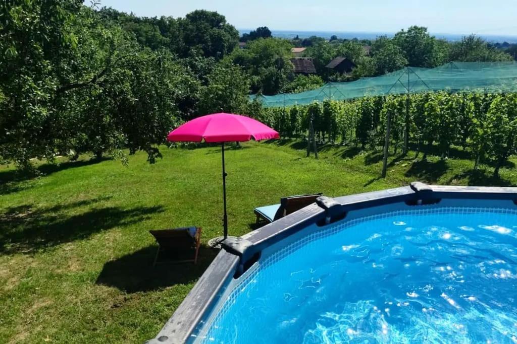 Villa Kuca Za Odmor Cesarica - Zagreb *