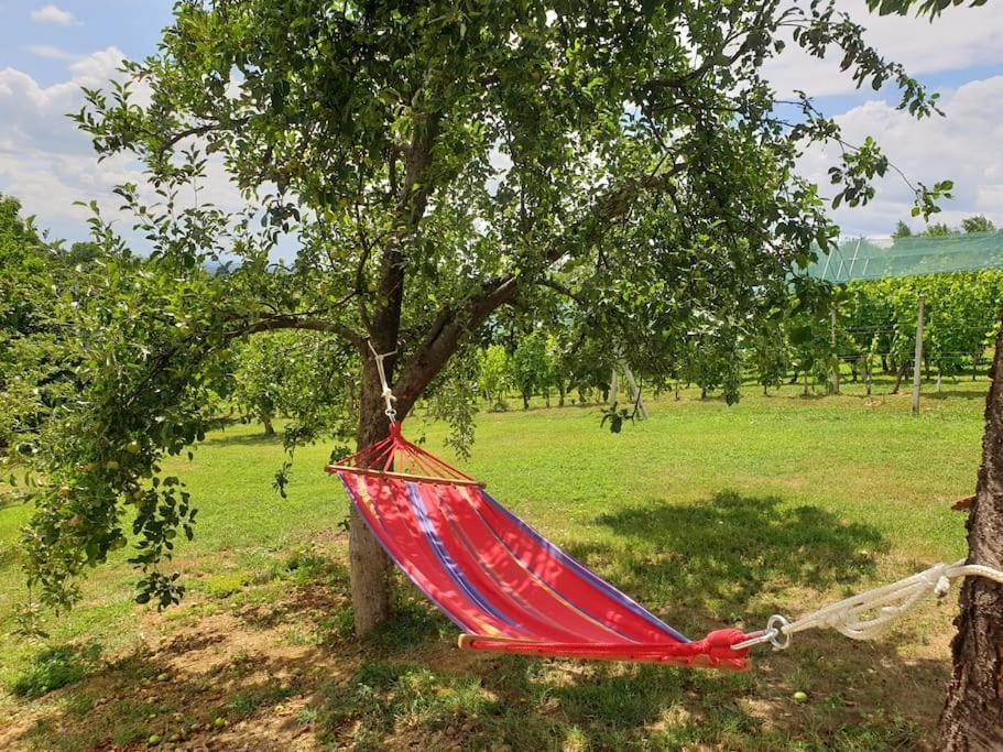 Villa Kuca Za Odmor Cesarica - Zagreb