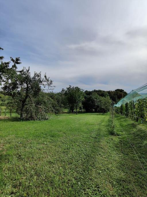 Villa Kuca Za Odmor Cesarica - Zagreb *